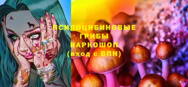 Галлюциногенные грибы MAGIC MUSHROOMS  blacksprut ссылки  Воркута 